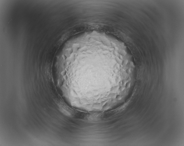 X0000082140178200702092134