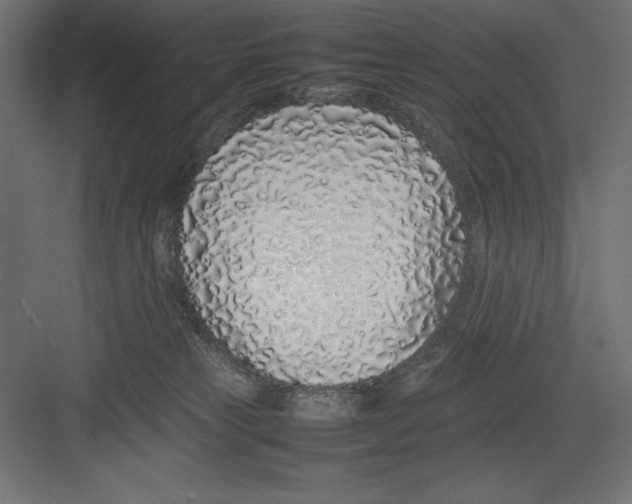 X0000082140181200702092135