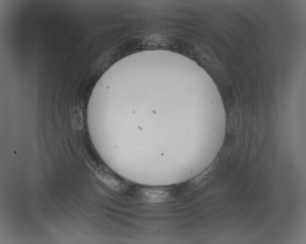 X0000082140183200702092135