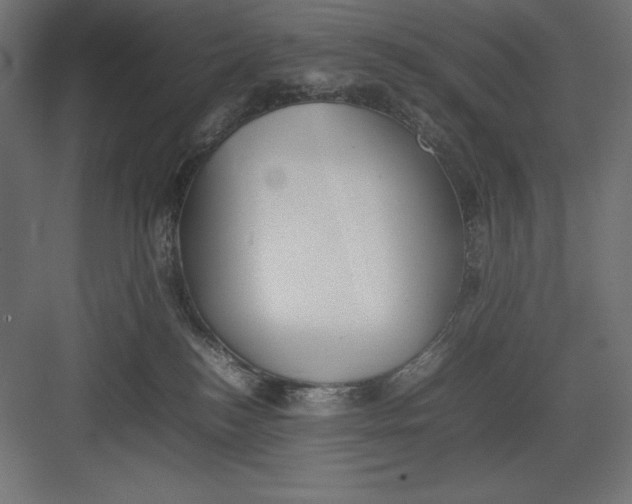 X0000082140184200702092135