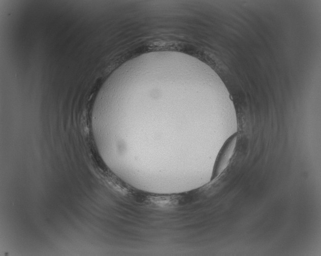 X0000082140187200702092135