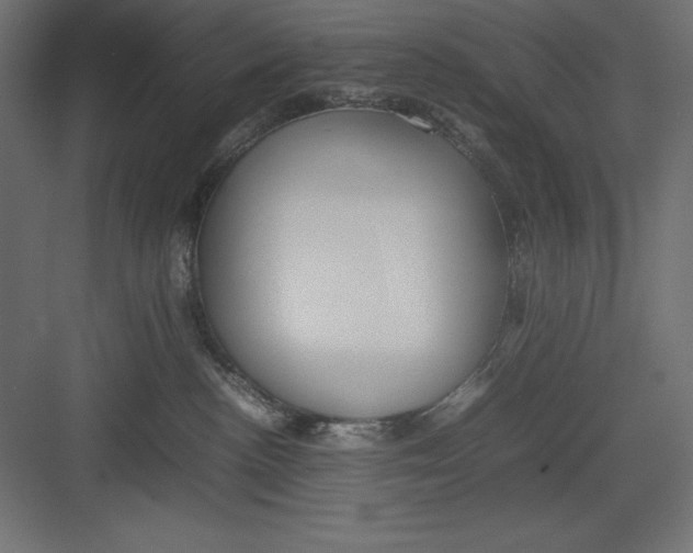 X0000082140188200702092135