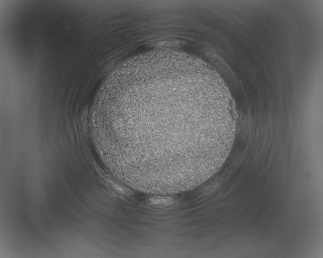 X0000082140189200702092135