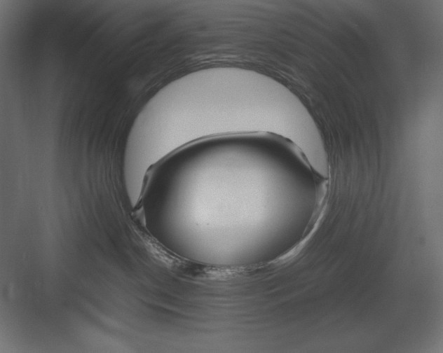 X0000082140190200702092135