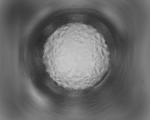 X0000082140191200702092135