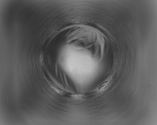 X0000082140192200702092135