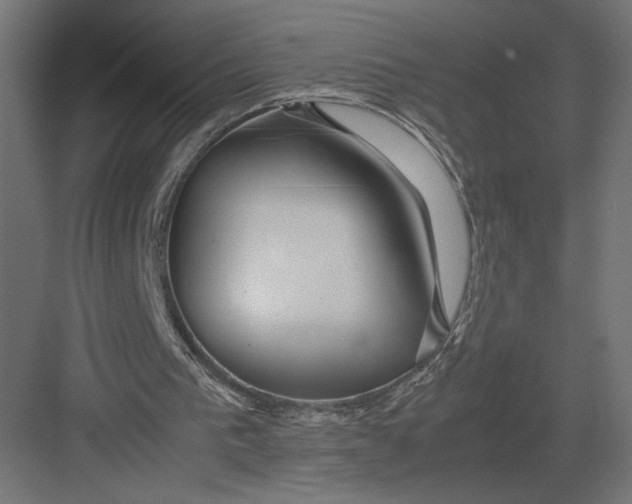 X0000082140193200702092134