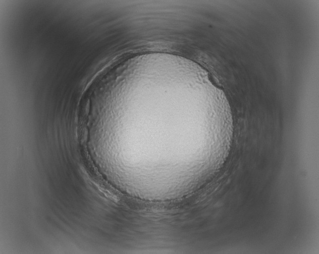 X0000082140194200702092134