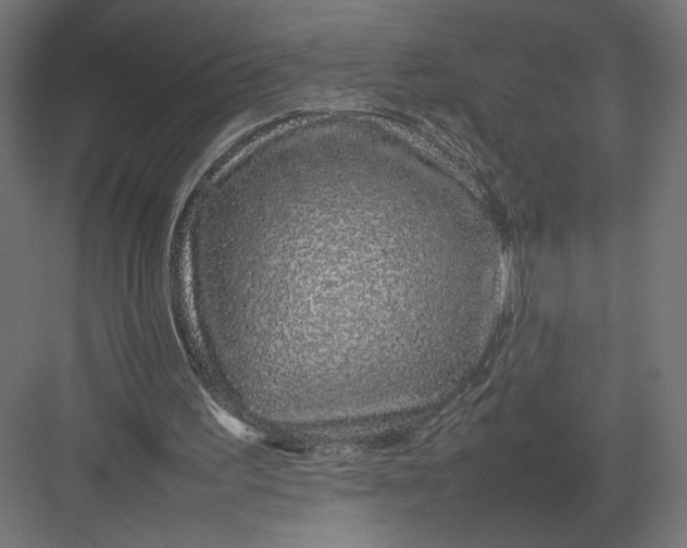 X0000082140195200702092134