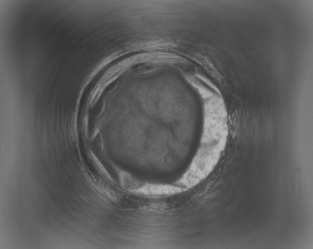 X0000082140196200702092134