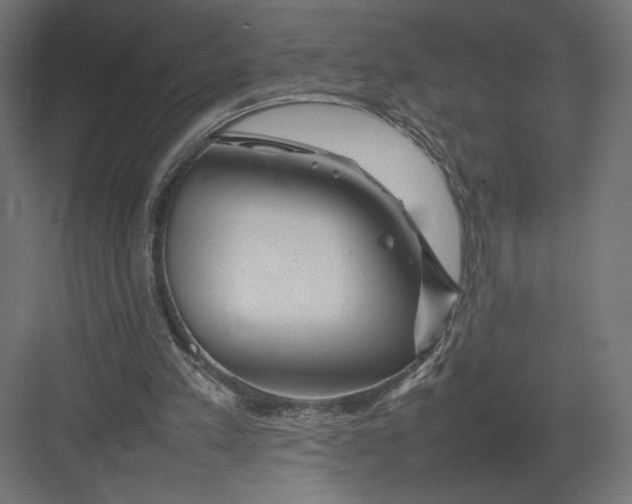 X0000082140197200702092134