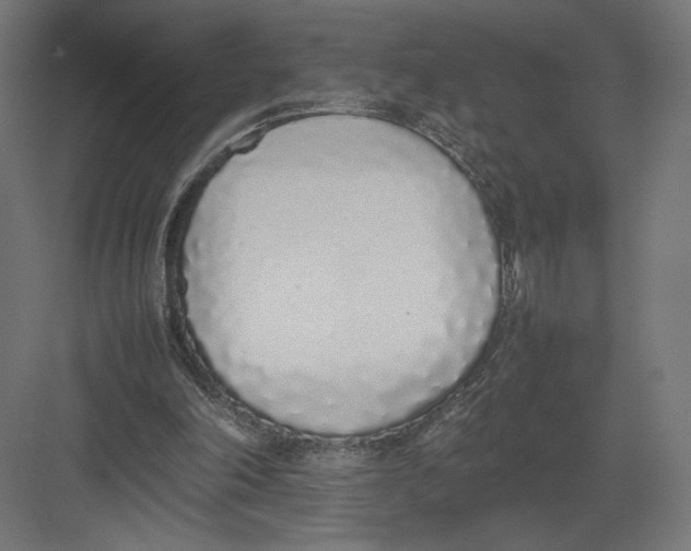 X0000082140198200702092134