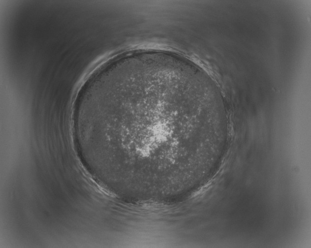 X0000082140199200702092134