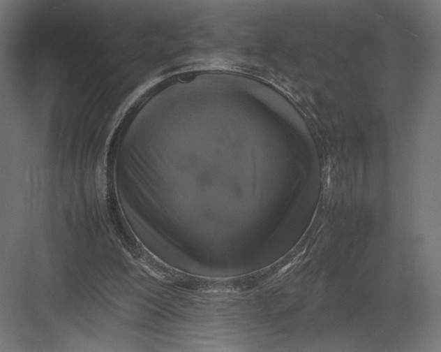 X0000082140200200702092134