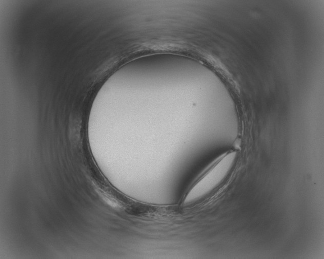 X0000082140201200702092134