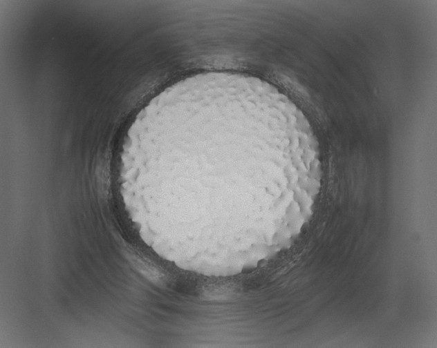 X0000082140202200702092134