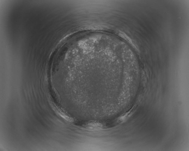 X0000082140203200702092134