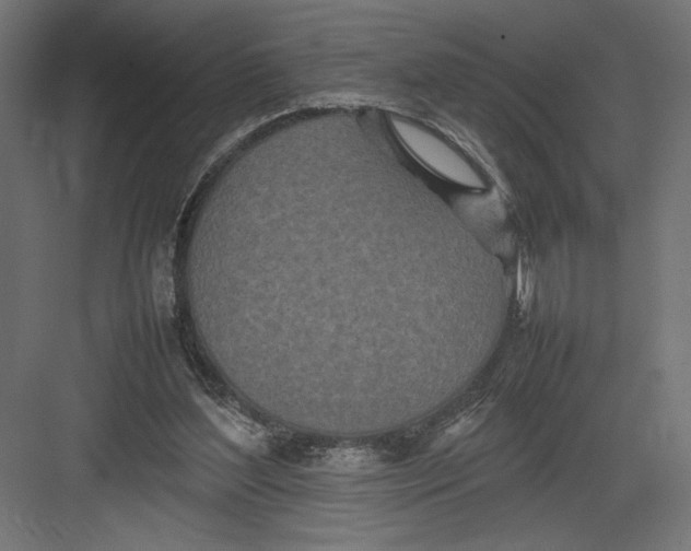 X0000082140204200702092134