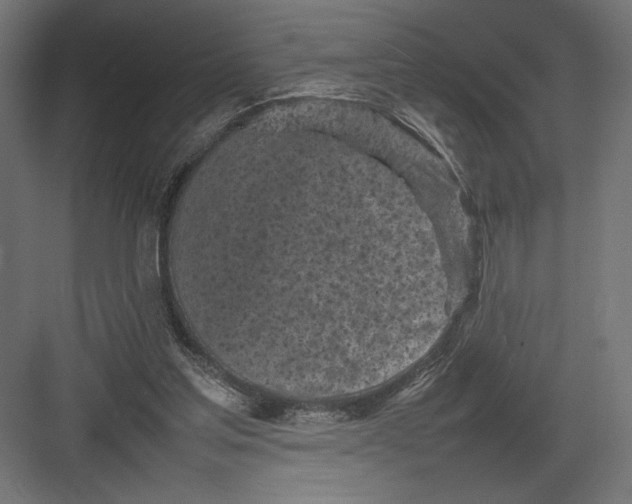 X0000082140205200702092134