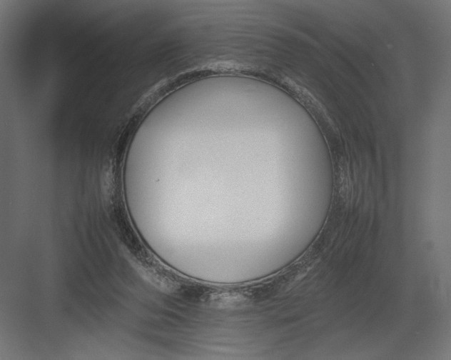 X0000082140208200702092134