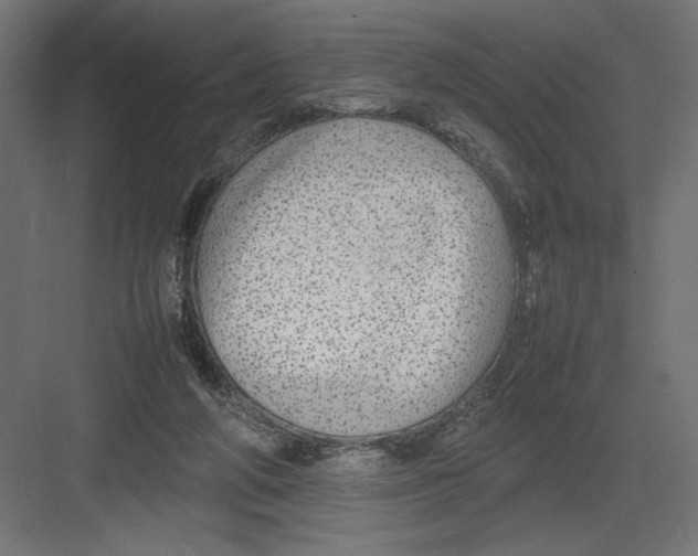 X0000082140210200702092134