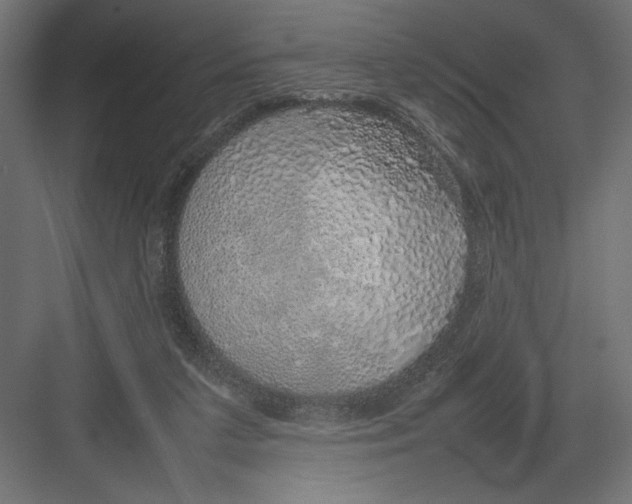 X0000082140211200702092134