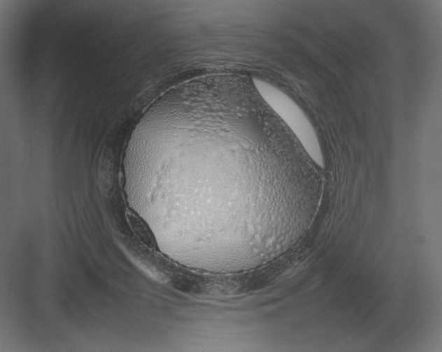 X0000082140215200702092134