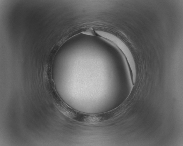 X0000082140217200702092133