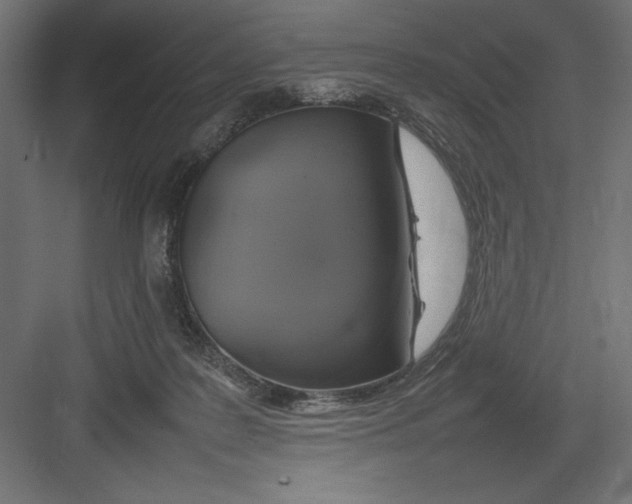 X0000082140219200702092133