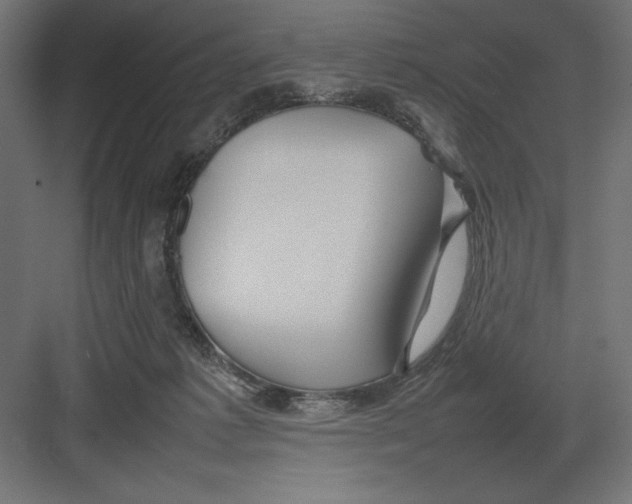 X0000082140221200702092133