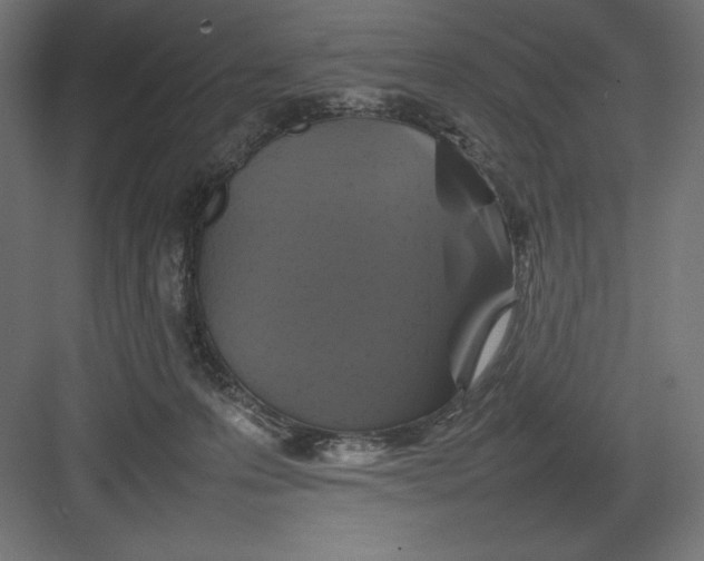 X0000082140223200702092133