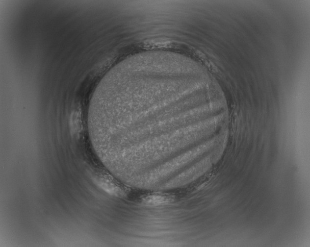 X0000082140224200702092133