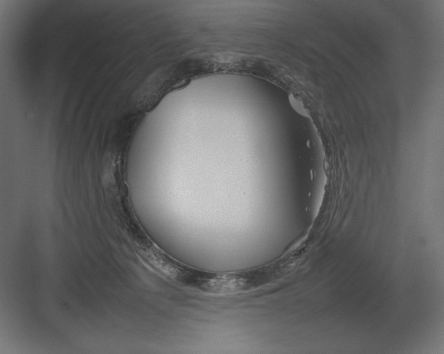 X0000082140225200702092133