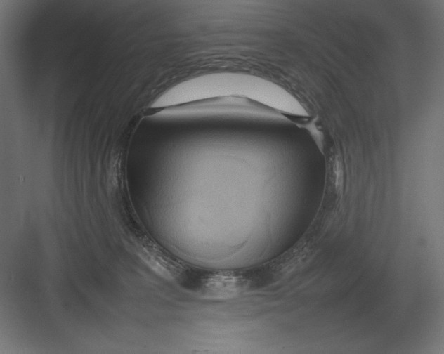 X0000082140227200702092133