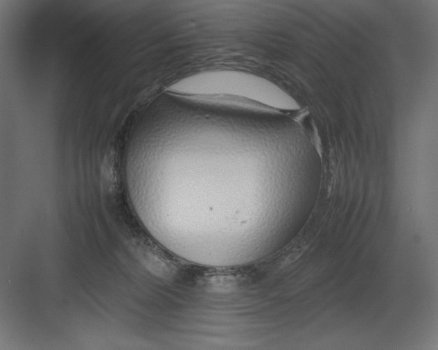 X0000082140228200702092133