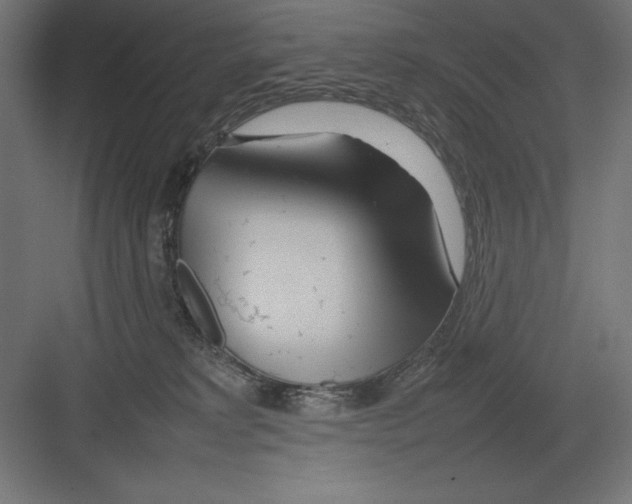 X0000082140229200702092133