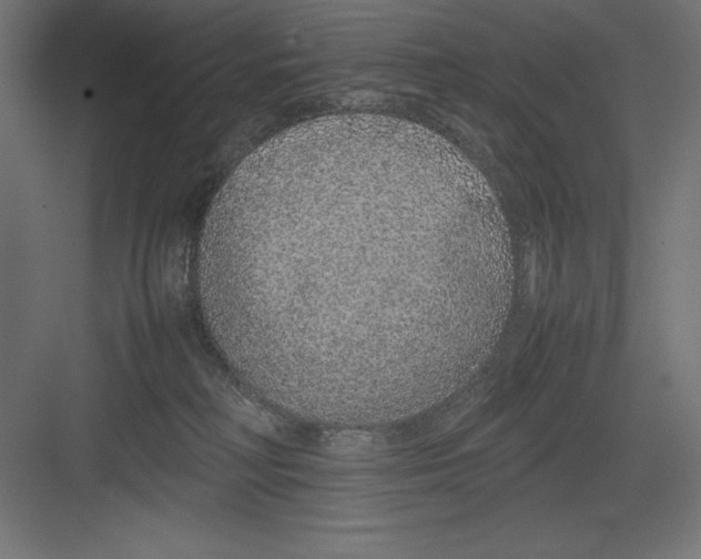 X0000082140230200702092133