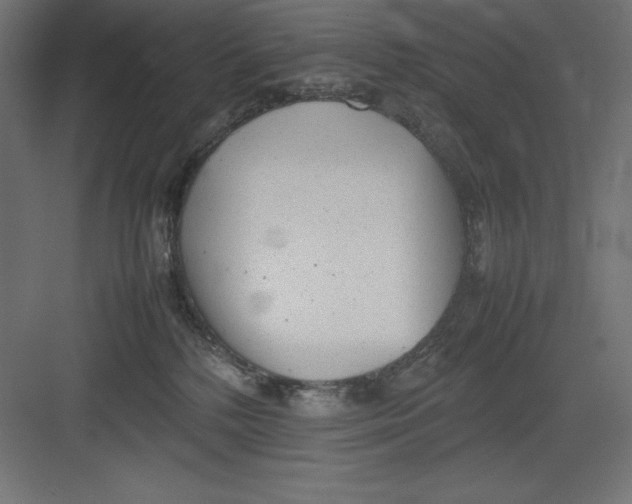 X0000082140232200702092133