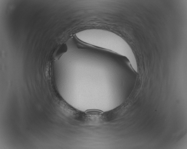 X0000082140233200702092133