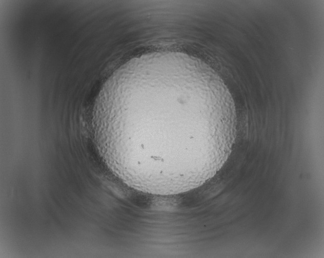 X0000082140234200702092133