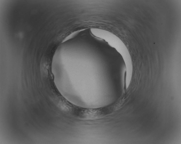 X0000082140235200702092133