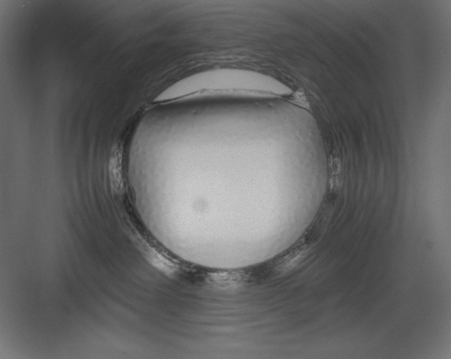 X0000082140238200702092133