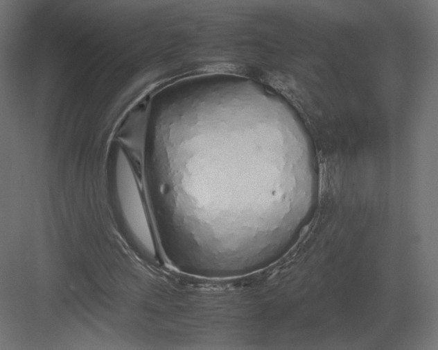 X0000082140243200702092132