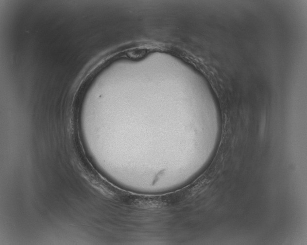 X0000082140247200702092132