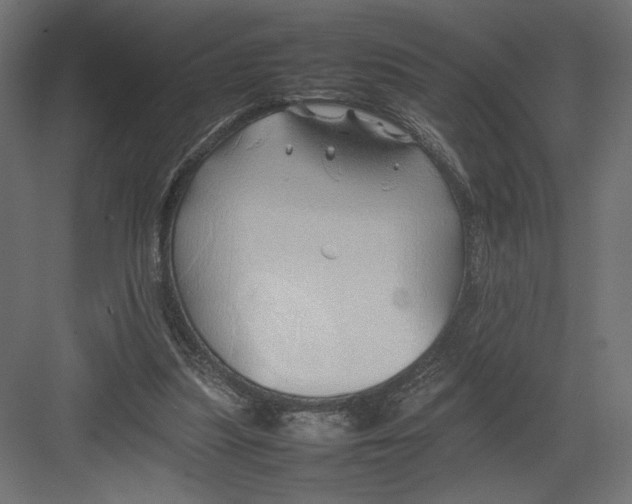 X0000082140251200702092132