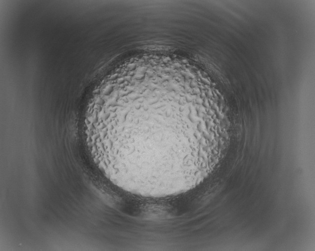 X0000082140255200702092133