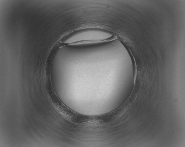 X0000082140256200702092133