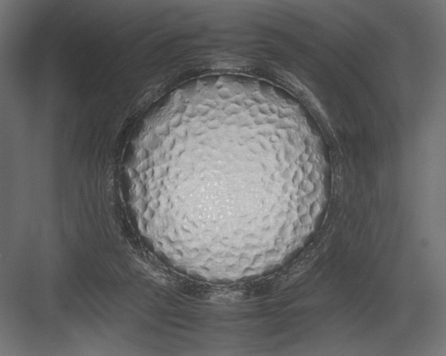 X0000082140257200702092133