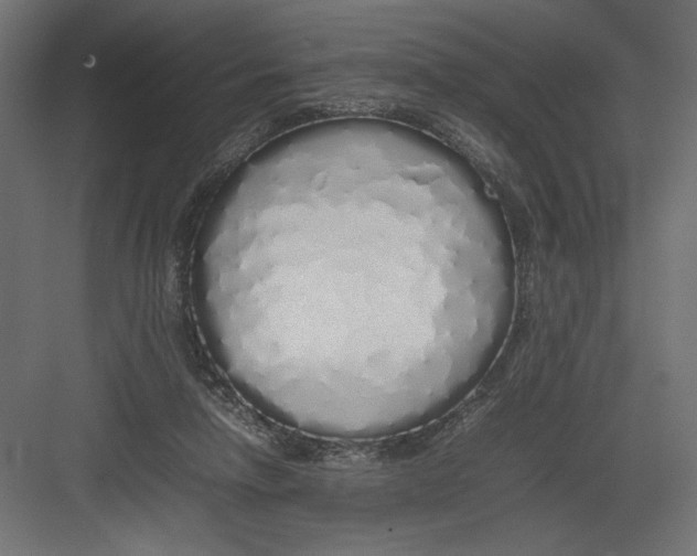 X0000082140258200702092133