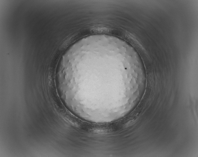 X0000082140259200702092133